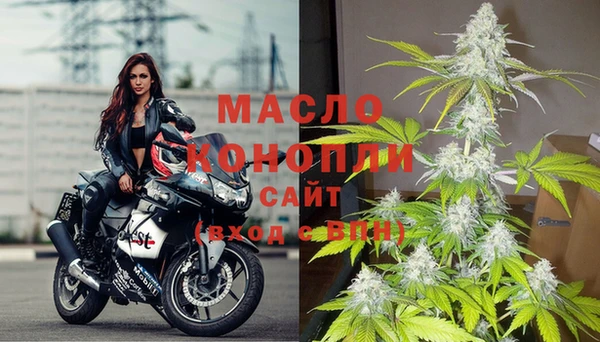 дмт Пересвет