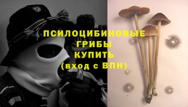 ГАЛЛЮЦИНОГЕННЫЕ ГРИБЫ Переславль-Залесский