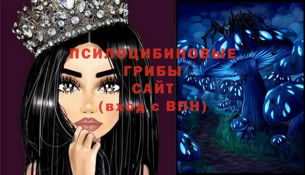 дмт Пересвет
