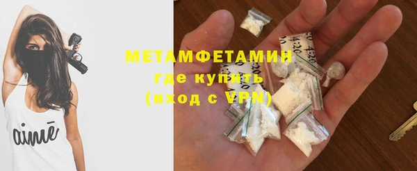 дмт Пересвет