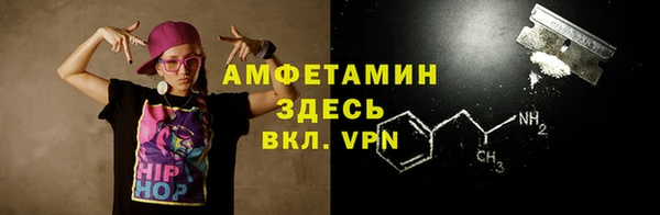 дмт Пересвет