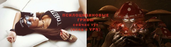 дмт Пересвет