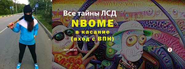 дмт Пересвет