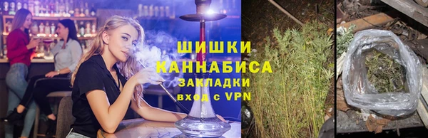 ГАЛЛЮЦИНОГЕННЫЕ ГРИБЫ Переславль-Залесский