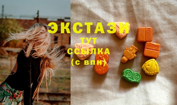 дмт Пересвет