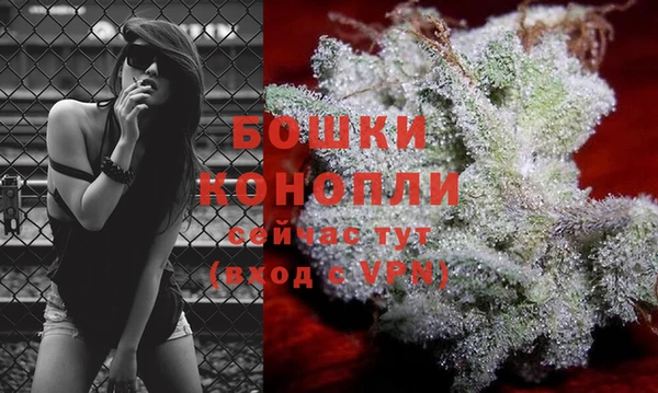 дмт Пересвет
