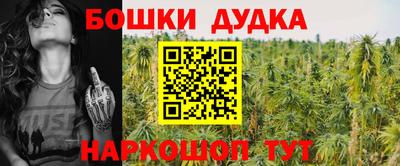 хмурый Гай
