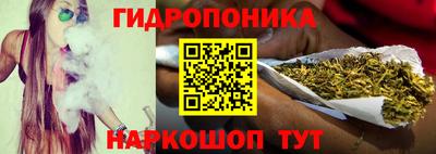 хмурый Гай