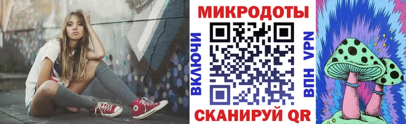 blacksprut ONION  закладка  Шуя  Псилоцибиновые грибы Psilocybe 