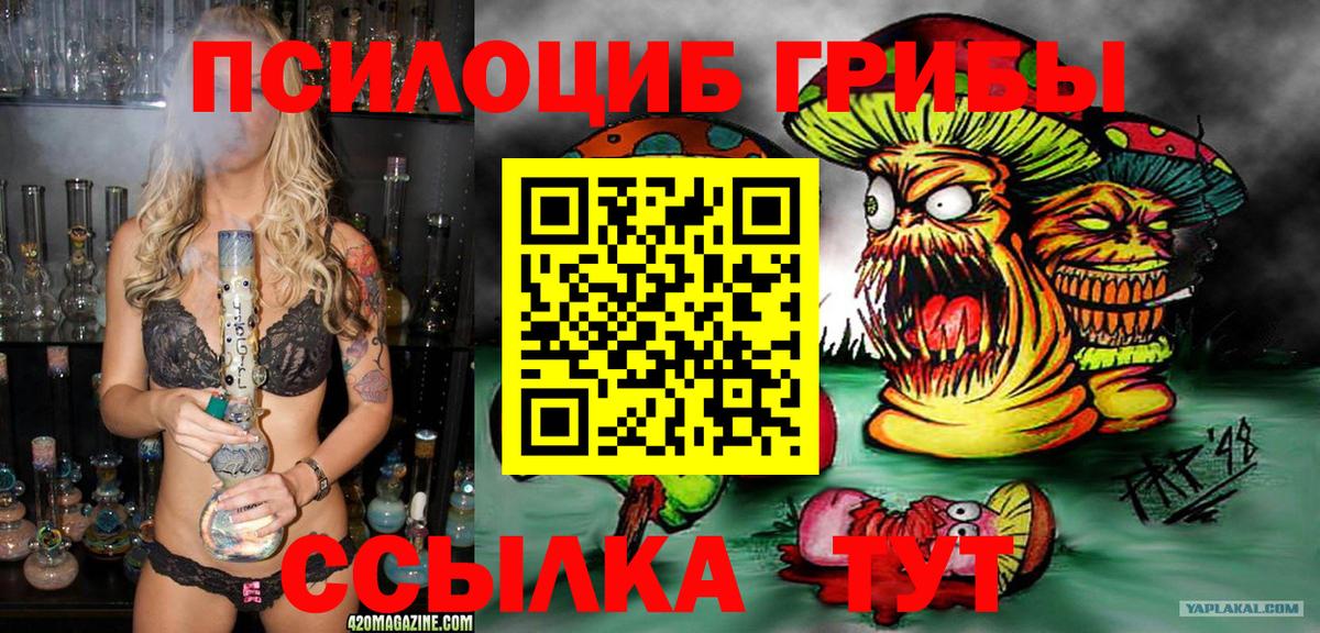 Псилоцибиновые грибы GOLDEN TEACHER  Вход с VPN  Шуя 