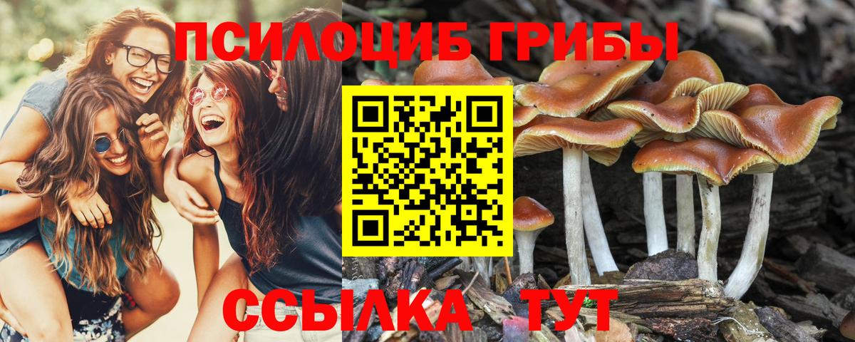 Псилоцибиновые грибы Psilocybine cubensis Шуя