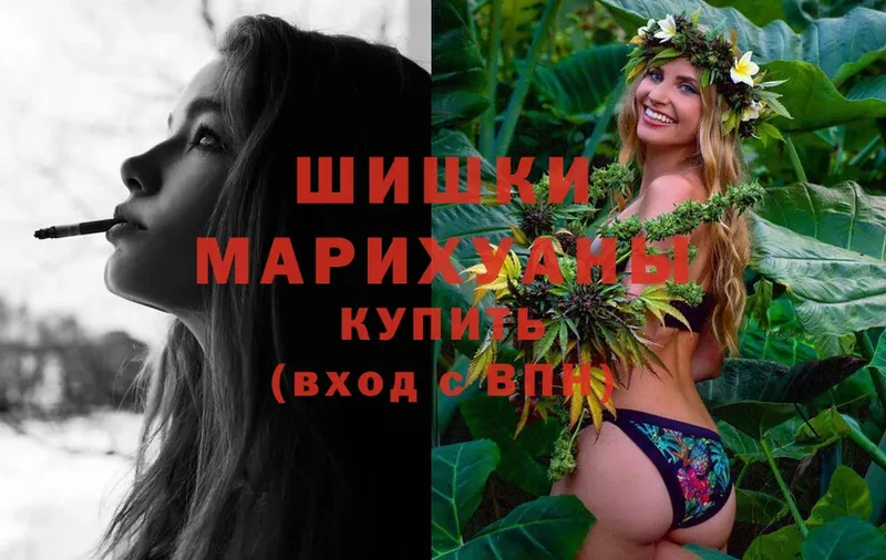 Шишки марихуана сатива  дарнет шоп  Шуя 